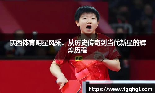 WE真人视讯官方网站