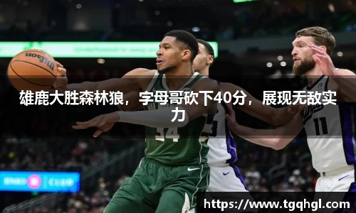 WE真人视讯官方网站