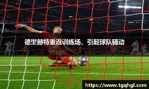 WE真人视讯官网