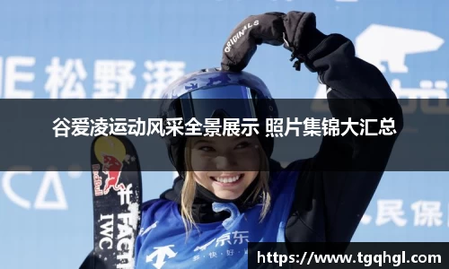 WE真人视讯官网