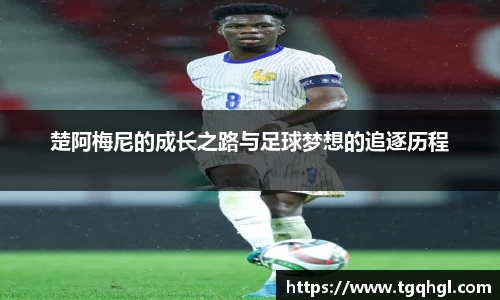 WE真人视讯官方网站